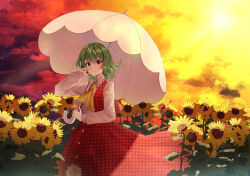 kazami yuuka from touhou