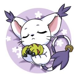 tailmon from digimon