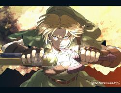 link from the legend of zelda
