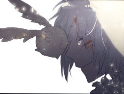 allen walker from d.gray-man