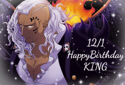 king (one piece) from one piece