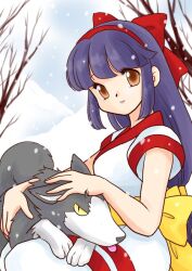 nakoruru from samurai spirits by kisaragi miyuki