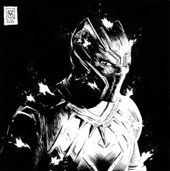 black panther (marvel) from marvel