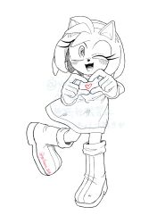 amy rose from sonic (series)