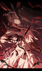 amiya (arknights) from arknights