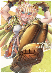 cucco from hyrule warriors