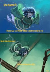 wakasagihime from touhou