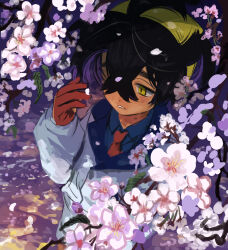 kieran (pokemon) from pokemon