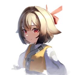 ye shunguang from zenless zone zero