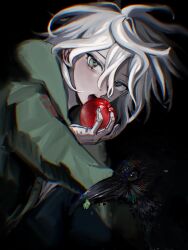 komaeda nagito from danganronpa (series)