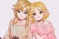 link from the legend of zelda