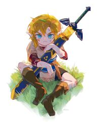 link from the legend of zelda