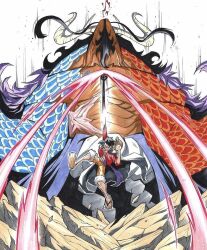 kaidou (one piece) from one piece