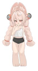 zhao (zenless zone zero) from zenless zone zero