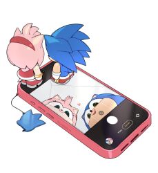 amy rose from sonic (series)