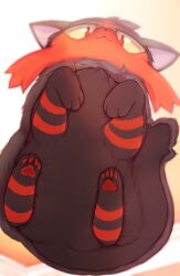 litten from pokemon