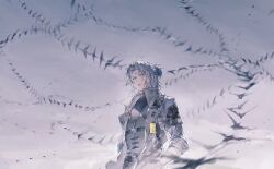 punishing: gray raven fan art