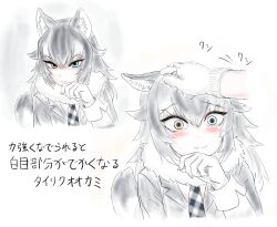 grey wolf (kemono friends) from kemono friends