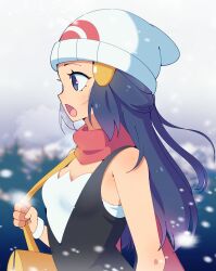 hikari (pokemon) from pokemon
