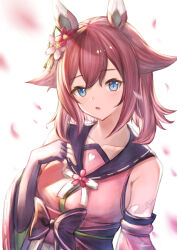 sakura chiyono o (umamusume) from umamusume