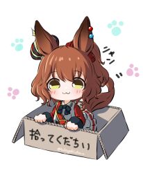 aston machan (umamusume) from umamusume