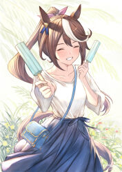 tokai teio (umamusume) from umamusume