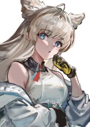 perlica (arknights) from arknights