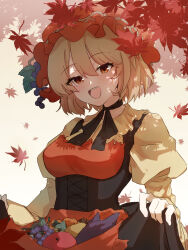 aki minoriko from touhou