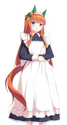 silence suzuka (umamusume) from umamusume by kanzakietc