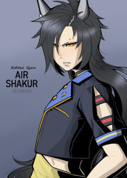 air shakur (umamusume) from umamusume
