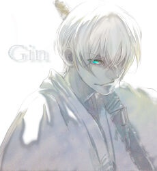 ichimaru gin from bleach