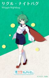 wriggle nightbug from touhou by baba (baba seimaijo)