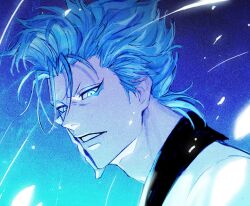 grimmjow jaegerjaquez from bleach