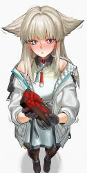 perlica (arknights) from arknights