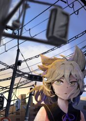 toyosatomimi no miko from touhou