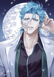 grimmjow jaegerjaquez from bleach