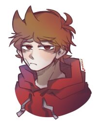 tord (eddsworld) from eddsworld