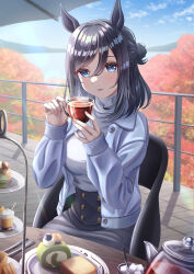 eishin flash (umamusume) from umamusume