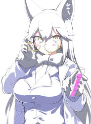 silver fox (kemono friends) from kemono friends