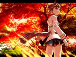 fine motion (umamusume) from umamusume by peeta