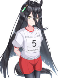 manhattan cafe (umamusume) from umamusume