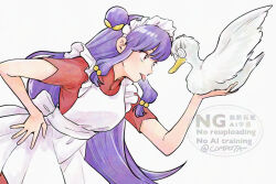mousse (duck) (ranma 1/2) from ranma 1/2