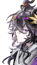 ebenholz (arknights) from ambience synesthesia