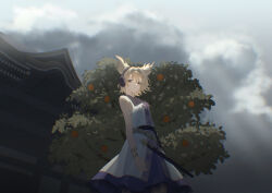 toyosatomimi no miko from touhou