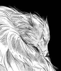 blaidd the half-wolf from elden ring