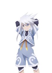 genis sage from tales of (series)