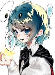 wriggle nightbug from touhou