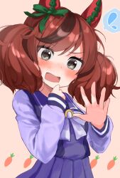 nice nature (umamusume) from umamusume