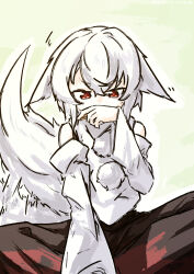 inubashiri momiji from touhou