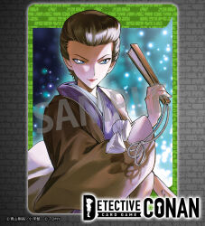 meitantei conan fan art